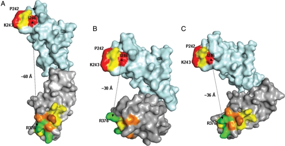 Fig. 6