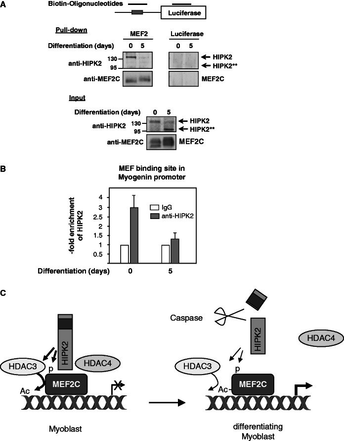 Figure 7.