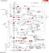 SUPPLEMENTAL FIGURE 1