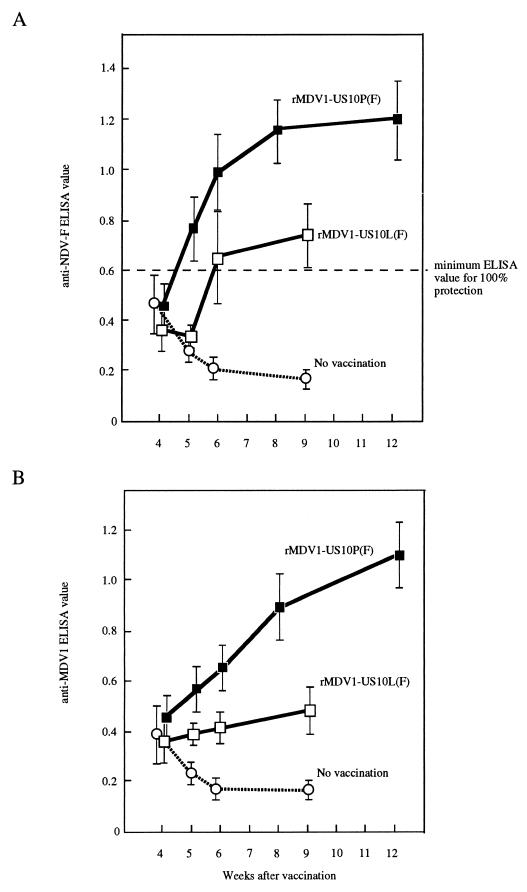 FIG. 6