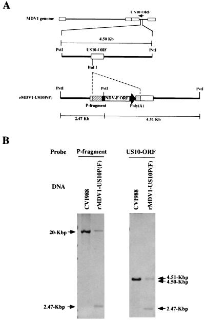 FIG. 3