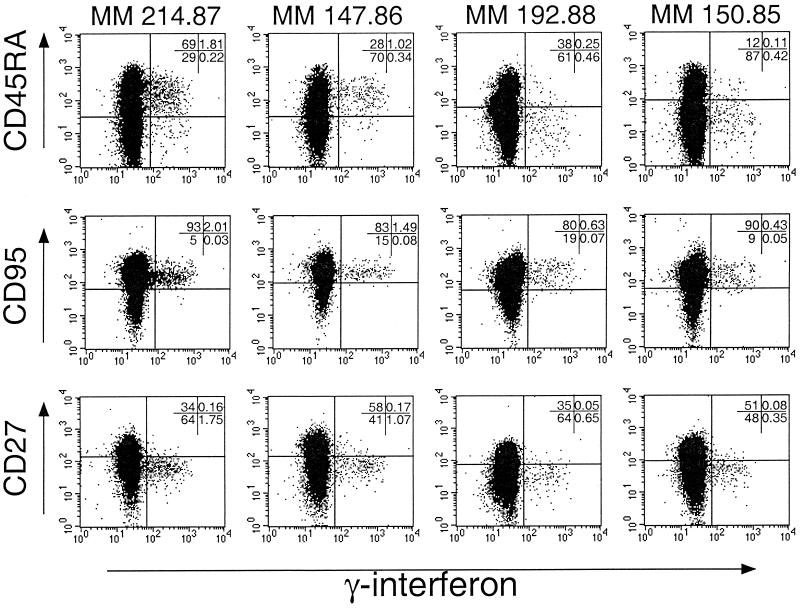 FIG. 4.