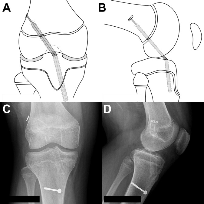 Figure 2.