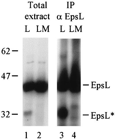 FIG. 5