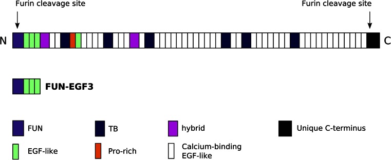 Fig. 1