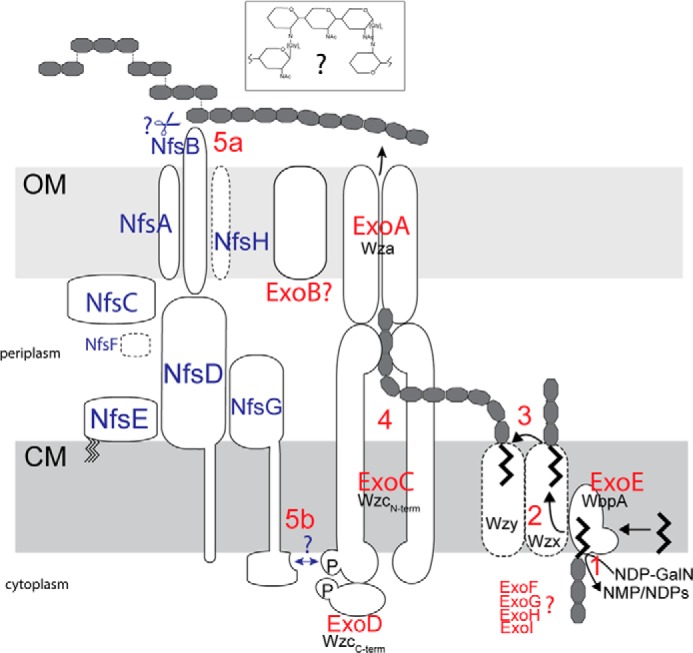 FIGURE 6.