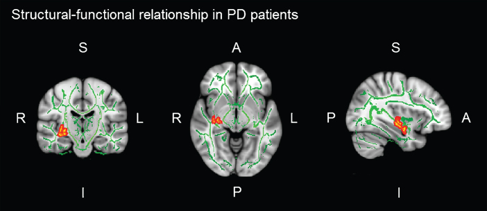 Fig.3