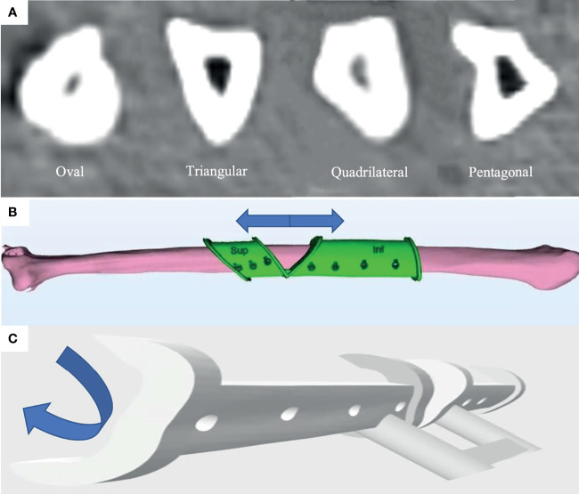 Figure 1