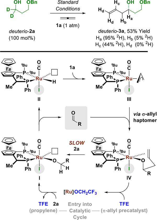 Scheme 2.