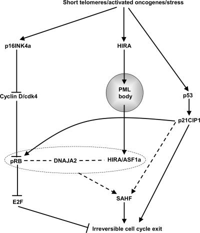 FIG. 9.