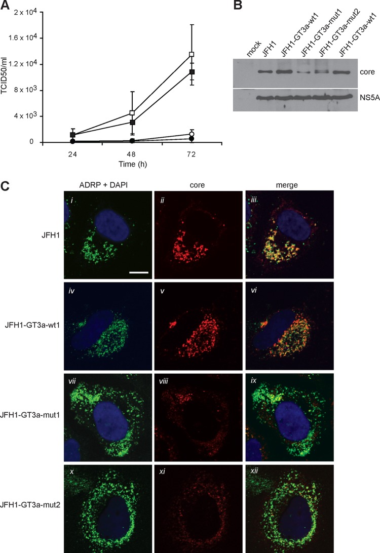 Fig 4