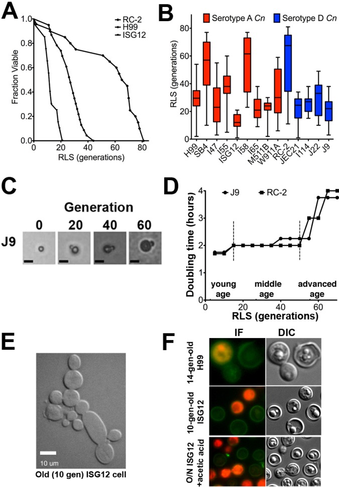 FIG 1 