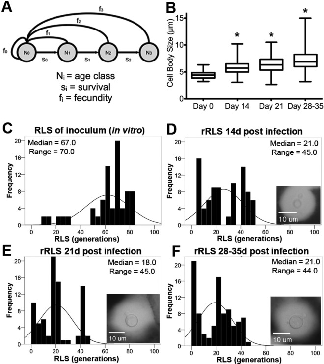 FIG 3 