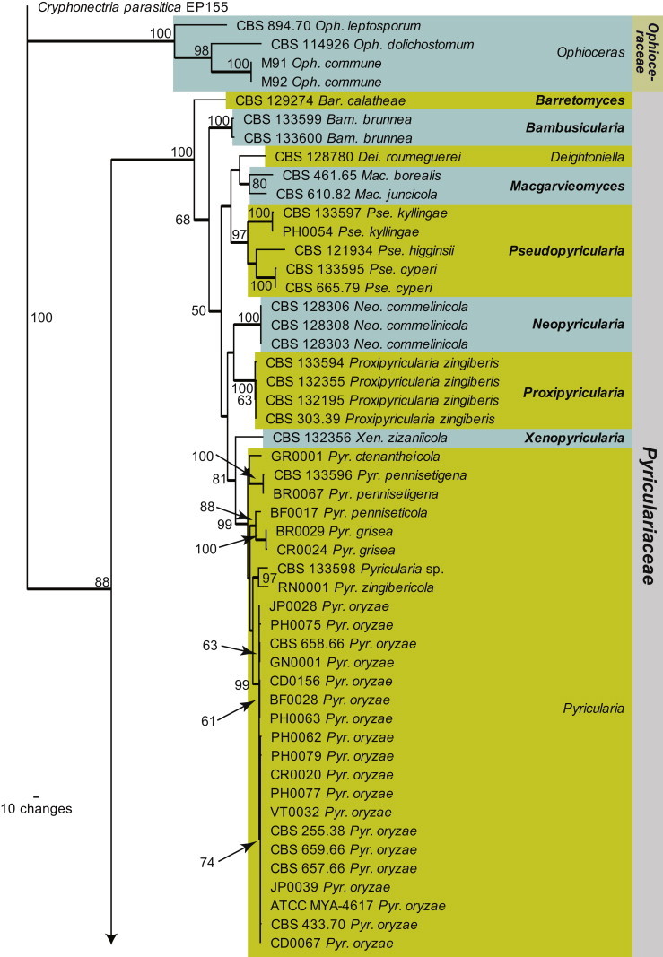 Fig. 2