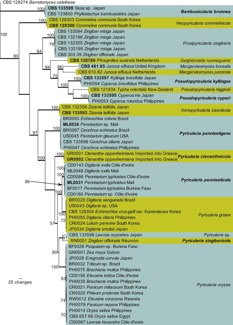 Fig. 3