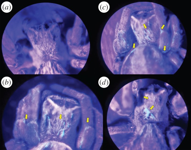 Figure 3.