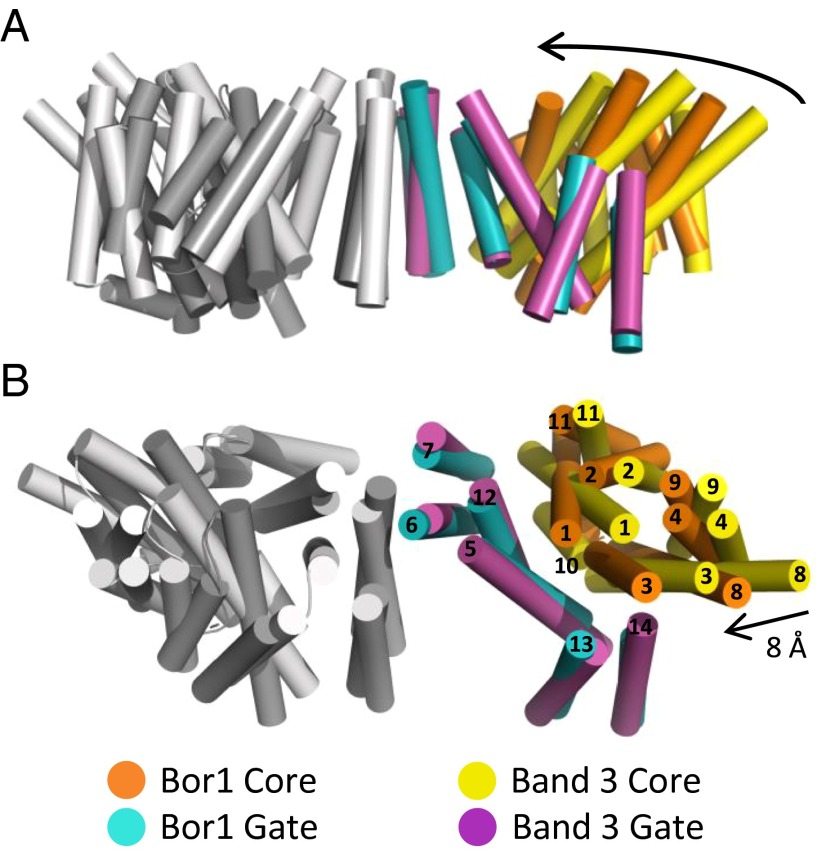 Fig. 2.