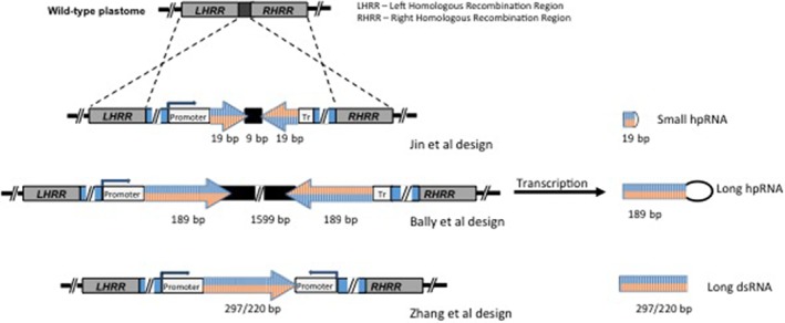 PS-4870-FIG-0003-c