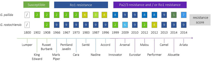 FIGURE 4