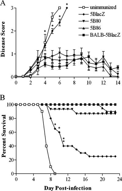 FIG. 8.