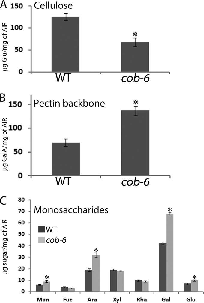 FIGURE 4.