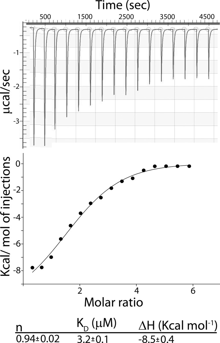 FIGURE 2.