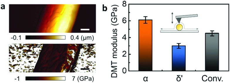 Fig. 3