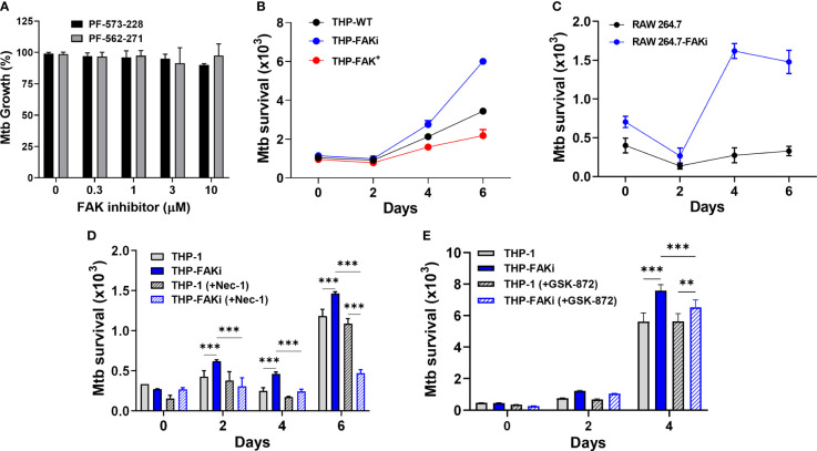 Figure 6