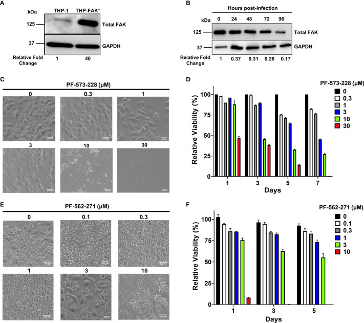 Figure 2