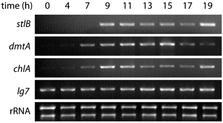 Fig. 2.