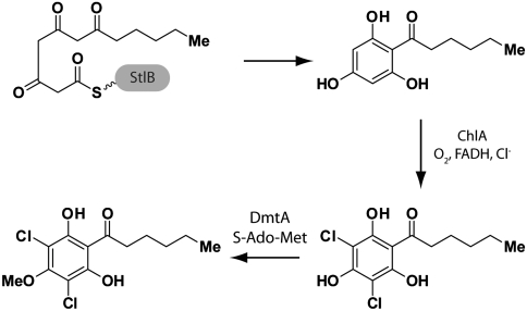 Fig. 6.