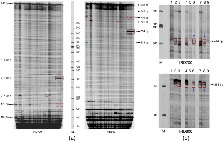 Figure 7