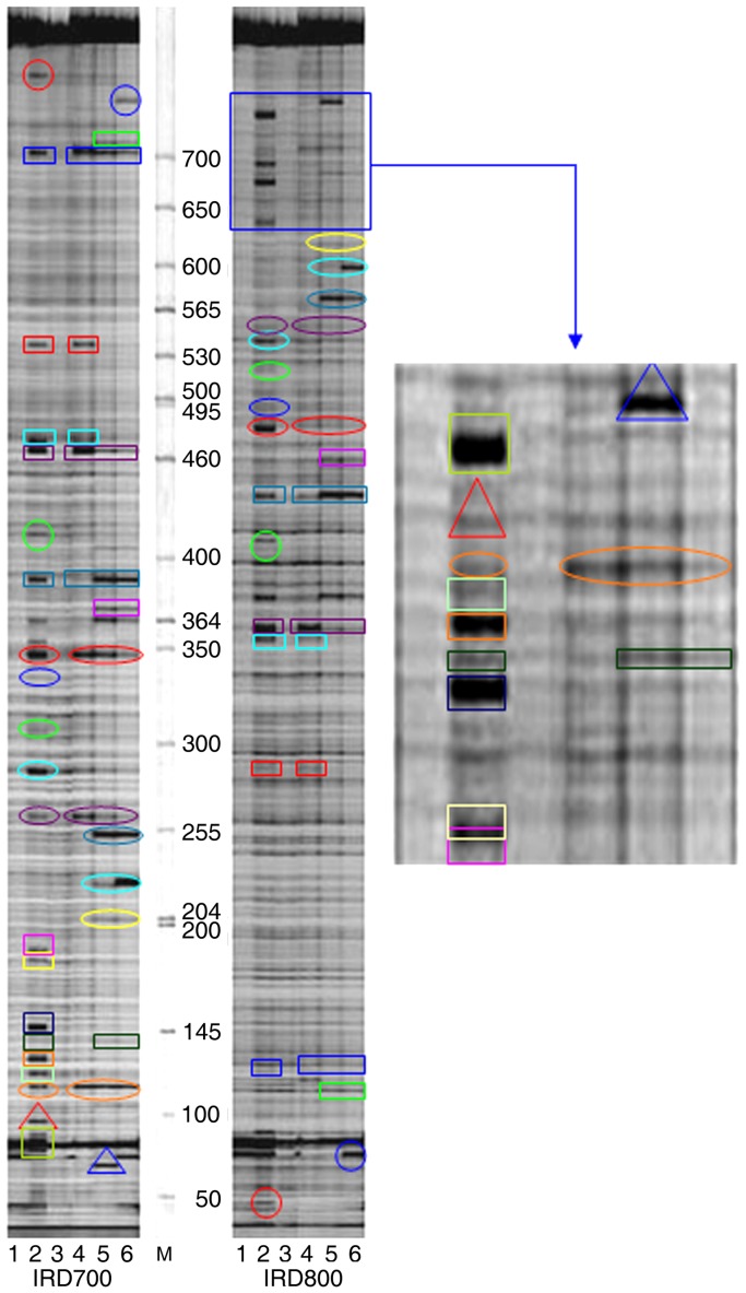 Figure 5