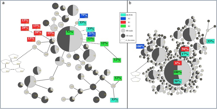 Fig 6