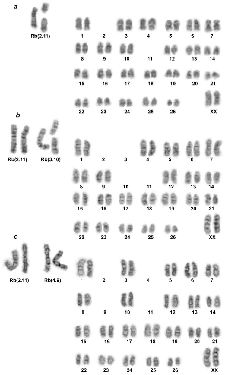 Figure 2