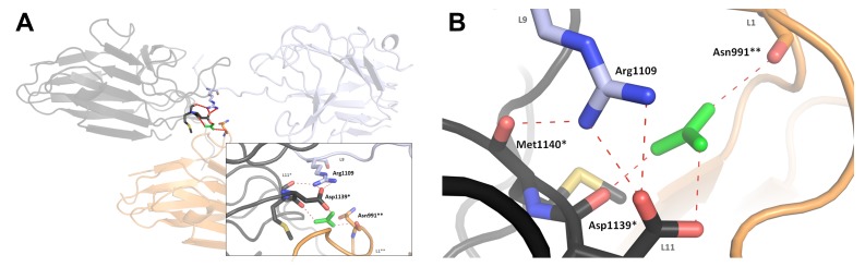 Fig. 2.