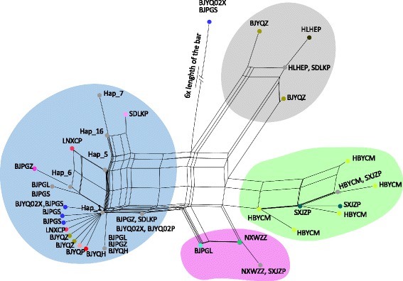 Fig. 4