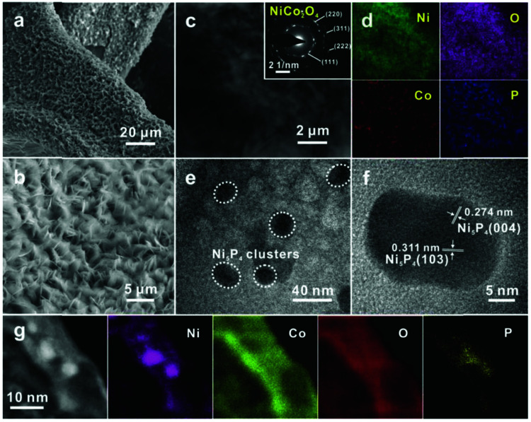 Fig. 73