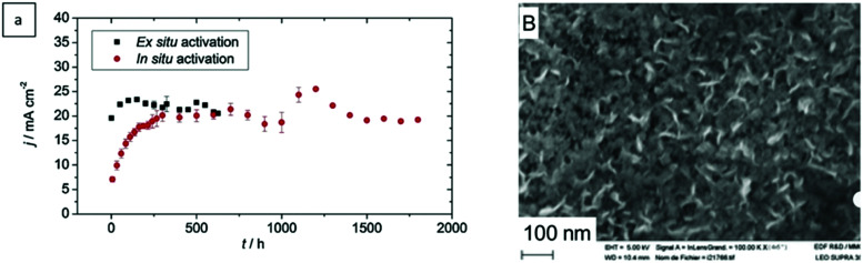 Fig. 112