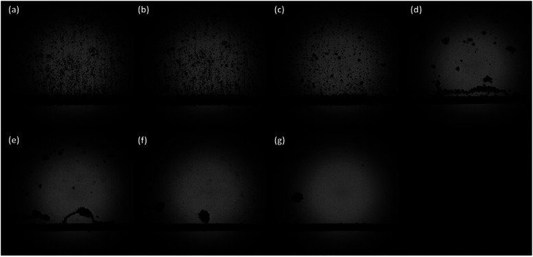 Fig. 149