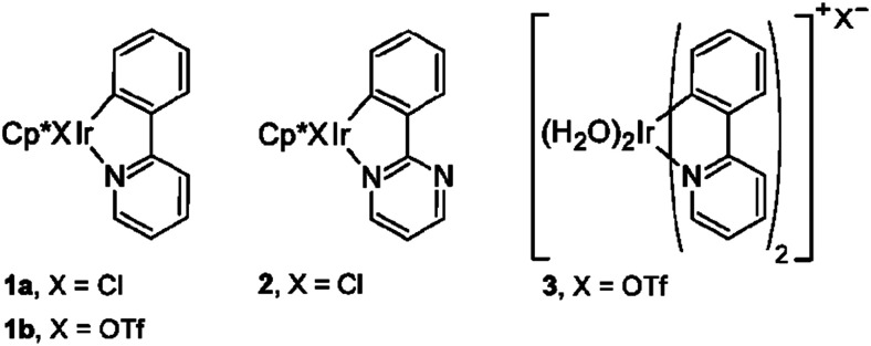 Fig. 124