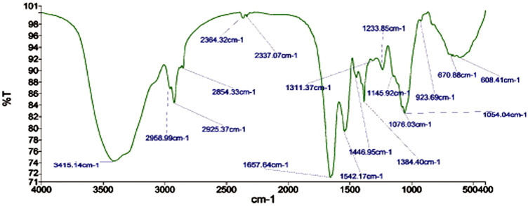 FIGURE 4