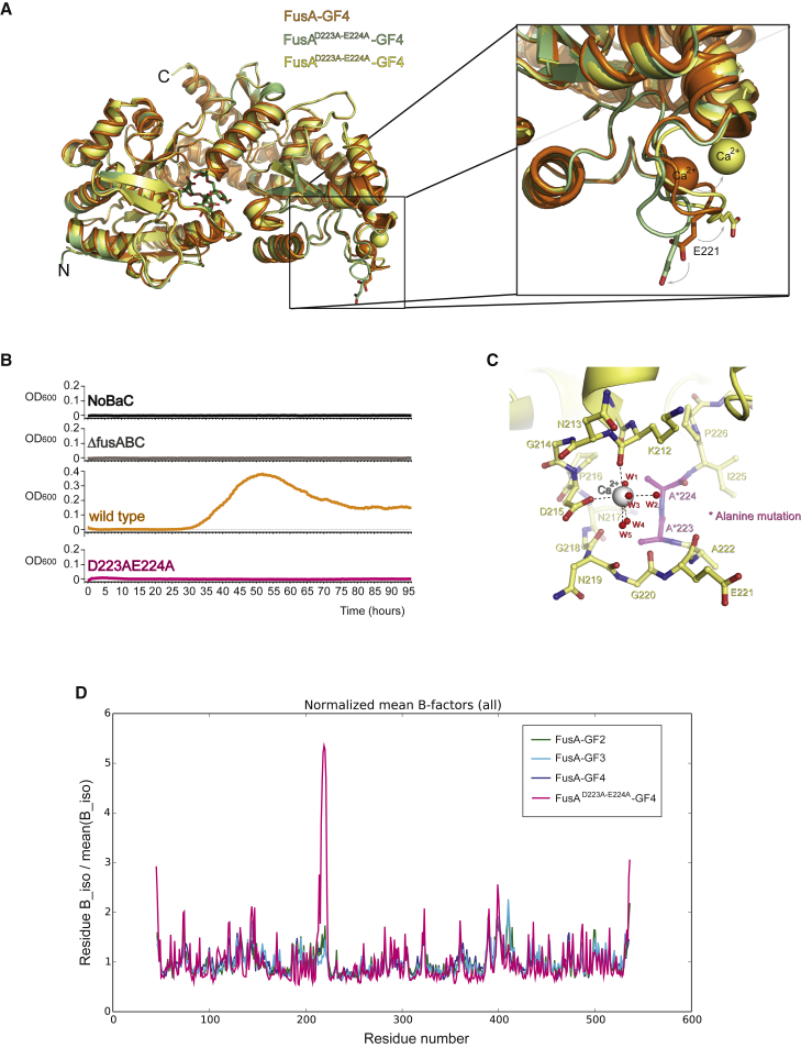 Figure 6