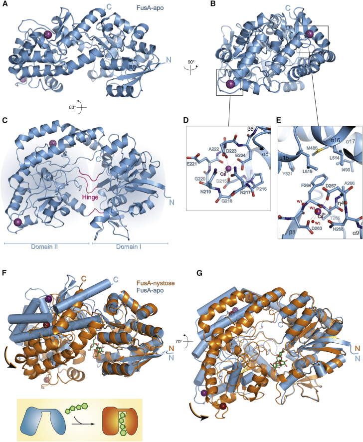 Figure 2