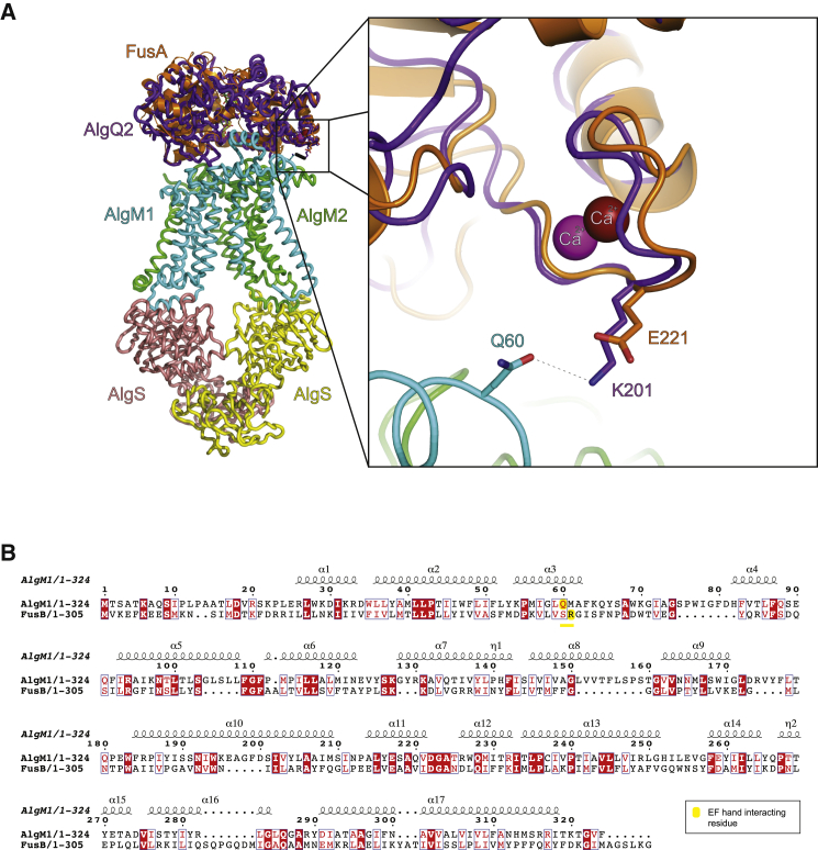 Figure 7