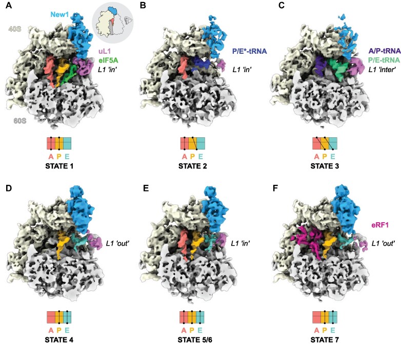 Figure 1.