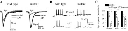 Fig. 4.