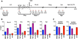 FIG 3