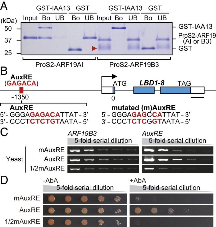 Fig. 3.