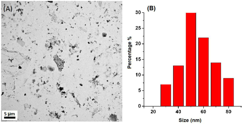 Figure 5